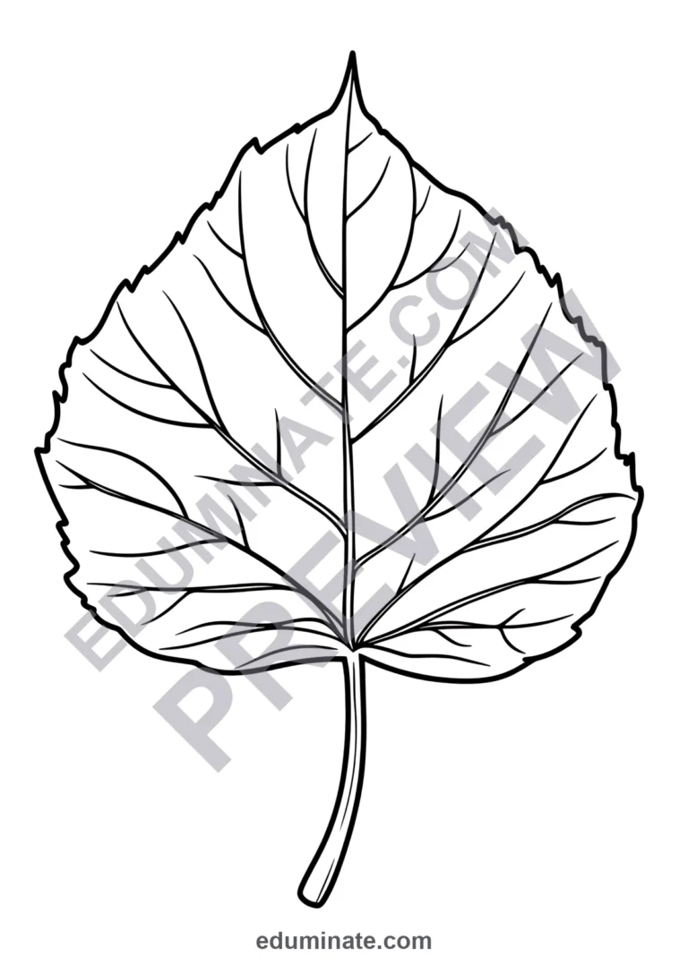 Maple Leaf Coloring Pages Autumn Nature Art Activity Sheets Pack for Kids sample page 4