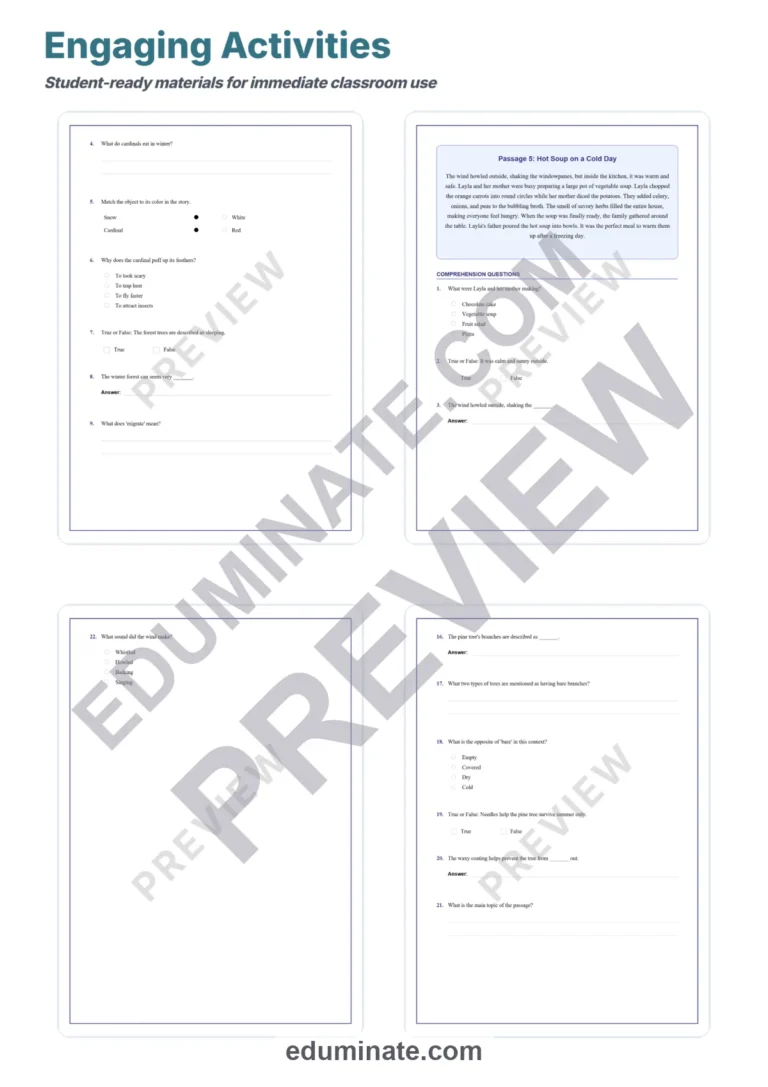 Winter Reading Comprehension Passages and Questions Seasonal Literacy Pack sample page 4