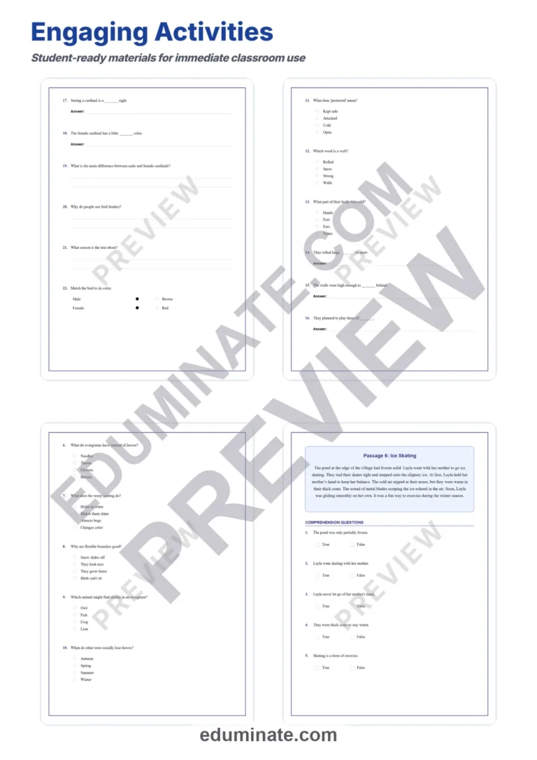 Fourth Grade Winter Reading Comprehension Activities Seasonal Literacy Unit sample page 4