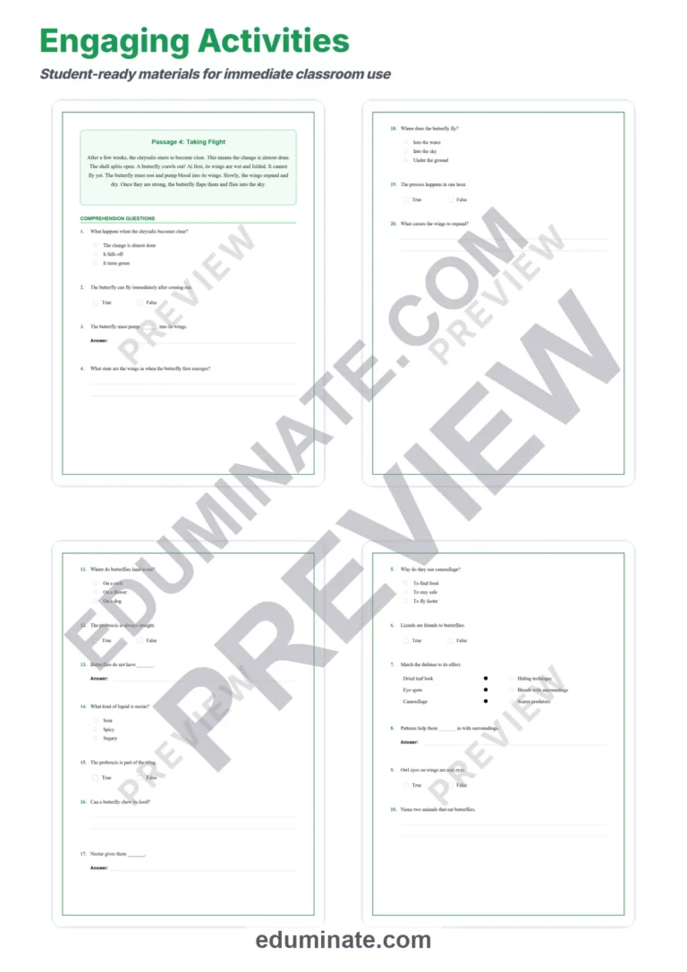 Butterfly Reading Comprehension Passages Worksheets Grades 2-6 Printables sample page 4