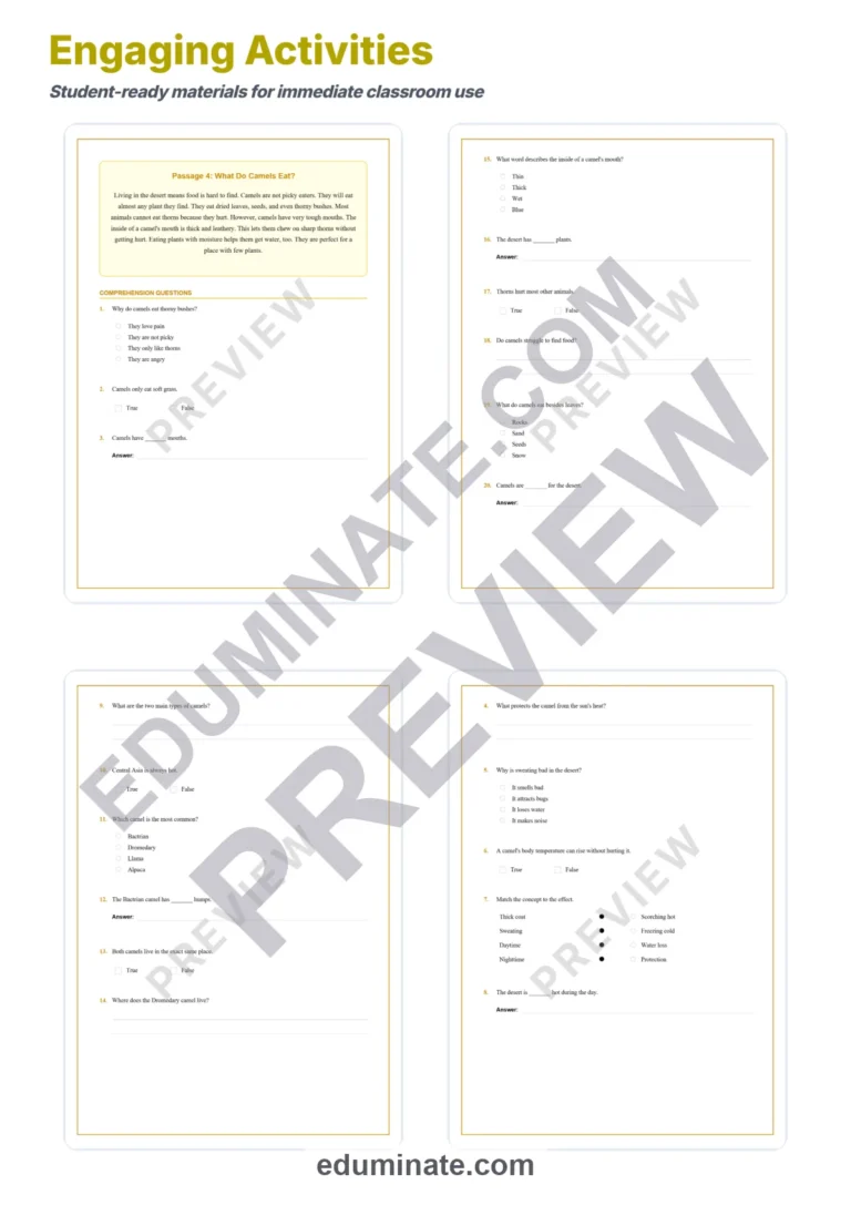Camels and Desert Life Reading Comprehension Passages Worksheets Grades 2-6 sample page 4
