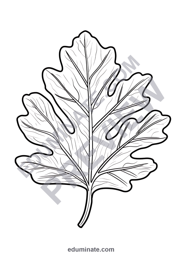 Leaf Coloring Pages Fall Autumn Foliage Sheets 80 Cute Printable Activities sample page 4