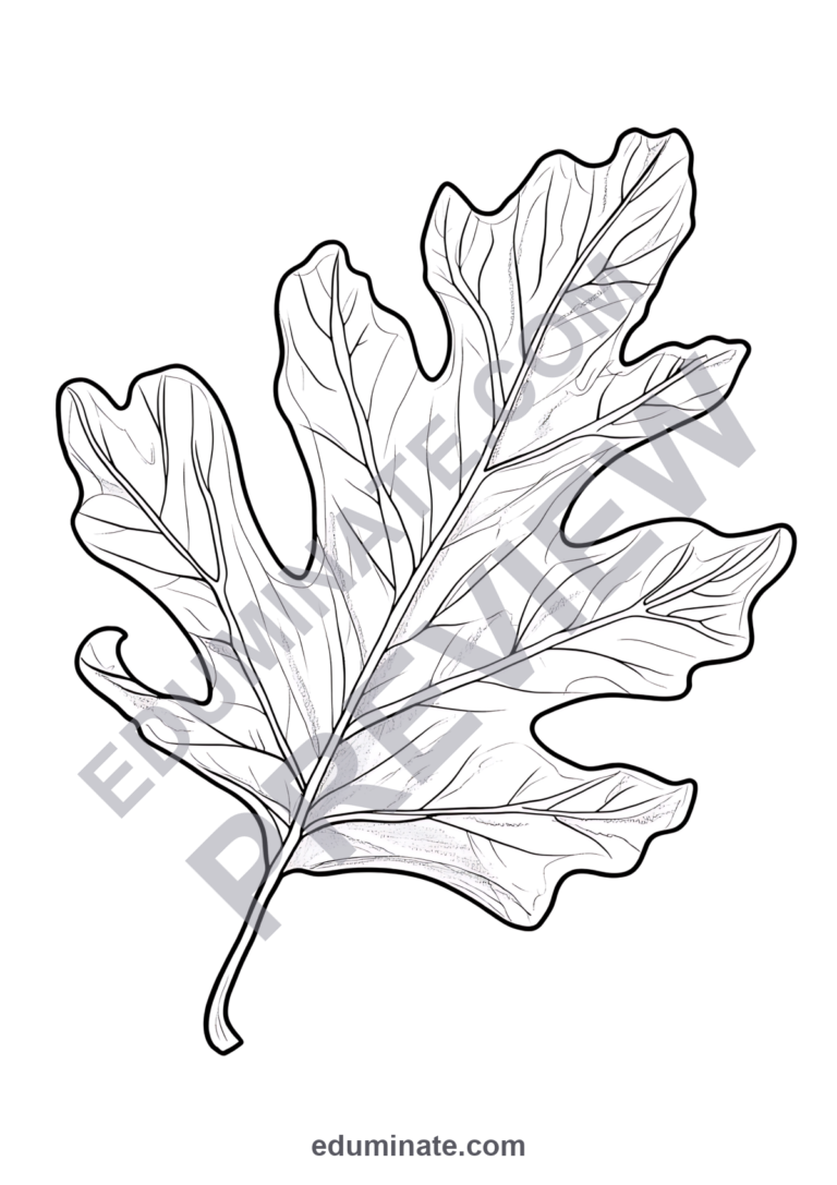 Leaves Coloring Pages Autumn Forest Foliage 100 Cute Printable Worksheets sample page 4
