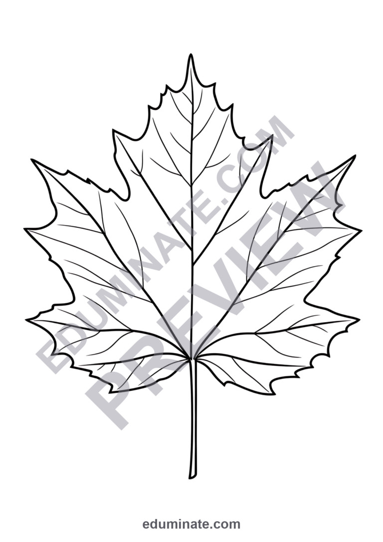 Fall Leaf Coloring Pages Autumn Leaves Nature Activity Sheets Pack for Kids sample page 5
