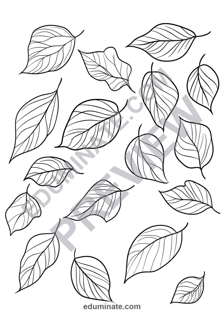 Maple Leaf Coloring Pages Autumn Nature Art Activity Sheets Pack for Kids sample page 5