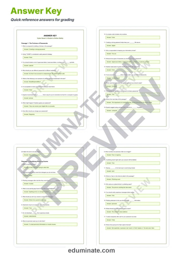 Internet Safety Worksheets And Reading Comprehension Passages Activity Pack sample page 5