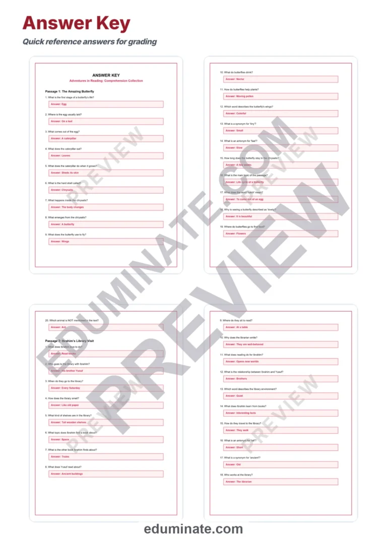 Multiple Choice Reading Comprehension Passages Elementary Literacy Activities sample page 5