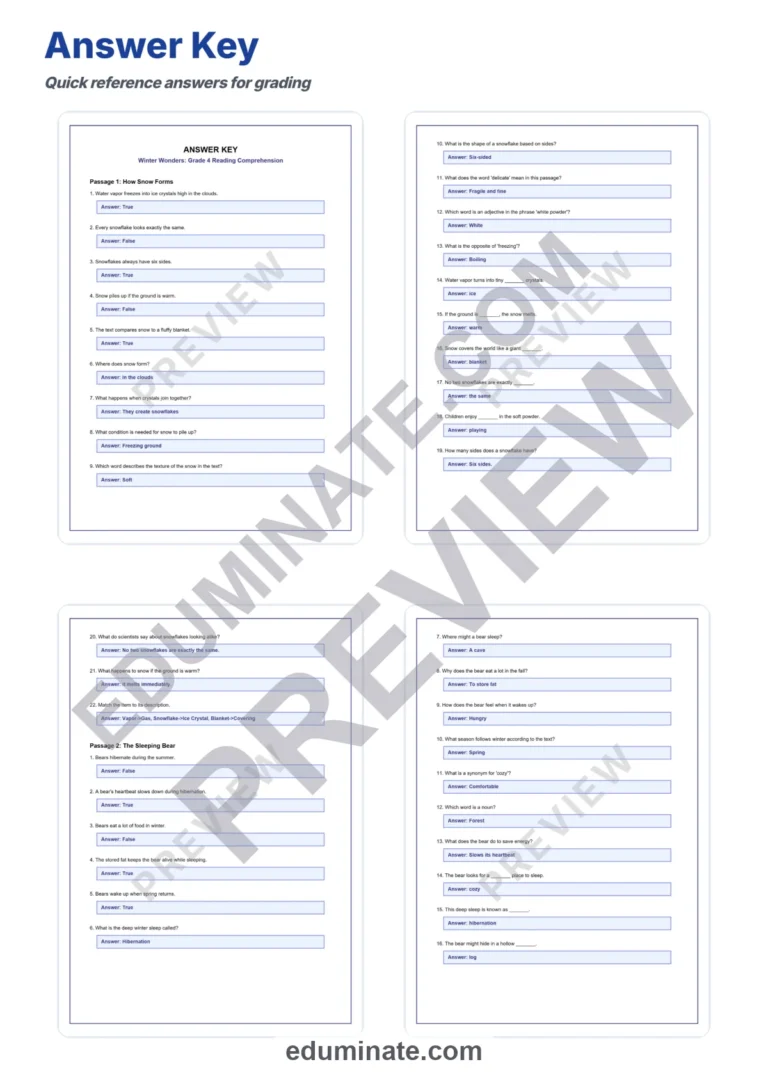Fourth Grade Winter Reading Comprehension Activities Seasonal Literacy Unit sample page 5