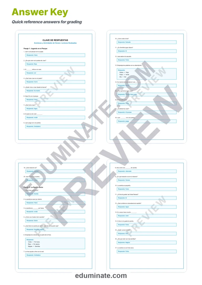 Spanish Reading Worksheets – Spanish Summer Reading Passages and Questions sample page 5