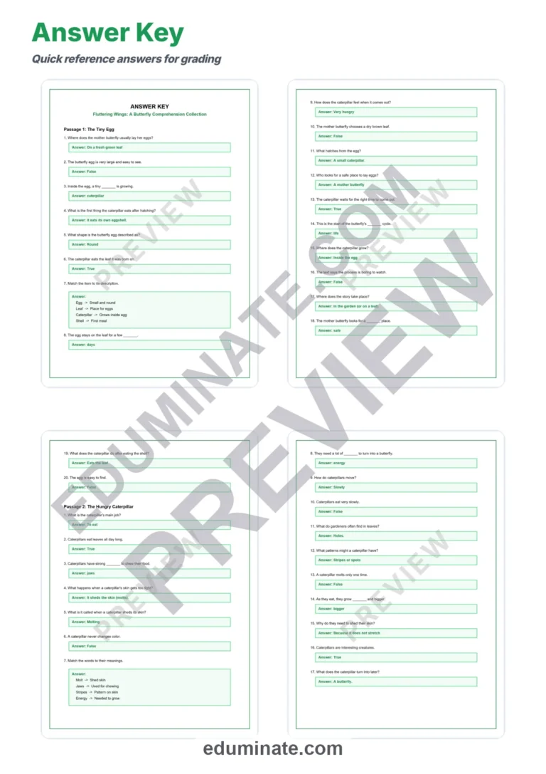 Butterfly Reading Comprehension Passages Worksheets Grades K-5 Printables sample page 5