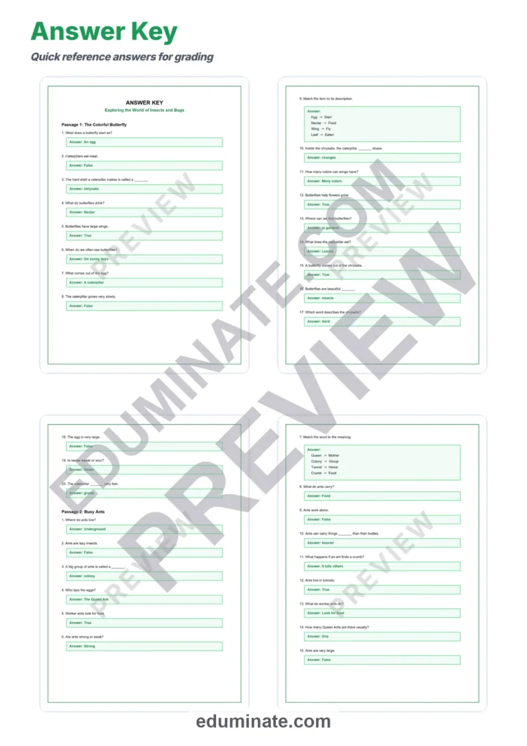 Insects and Bugs Reading Comprehension Passages and Questions for Grades 1-5 sample page 5