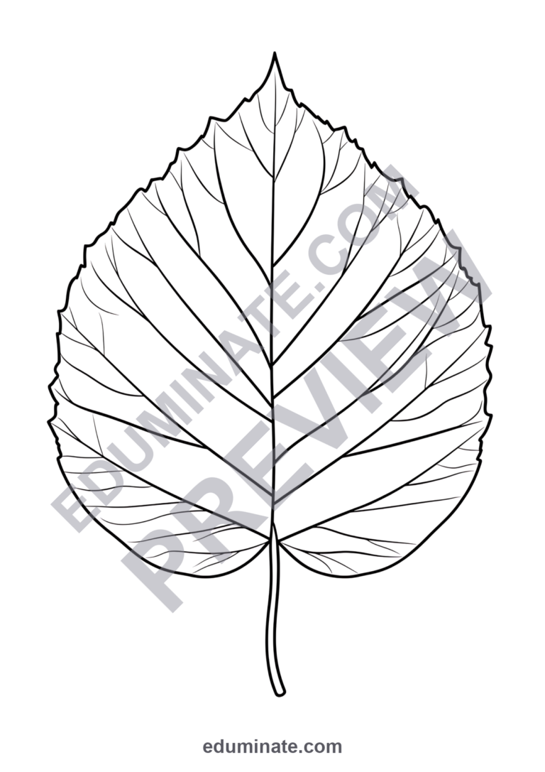 Leaves Coloring Pages Autumn Forest Foliage 100 Cute Printable Worksheets sample page 5