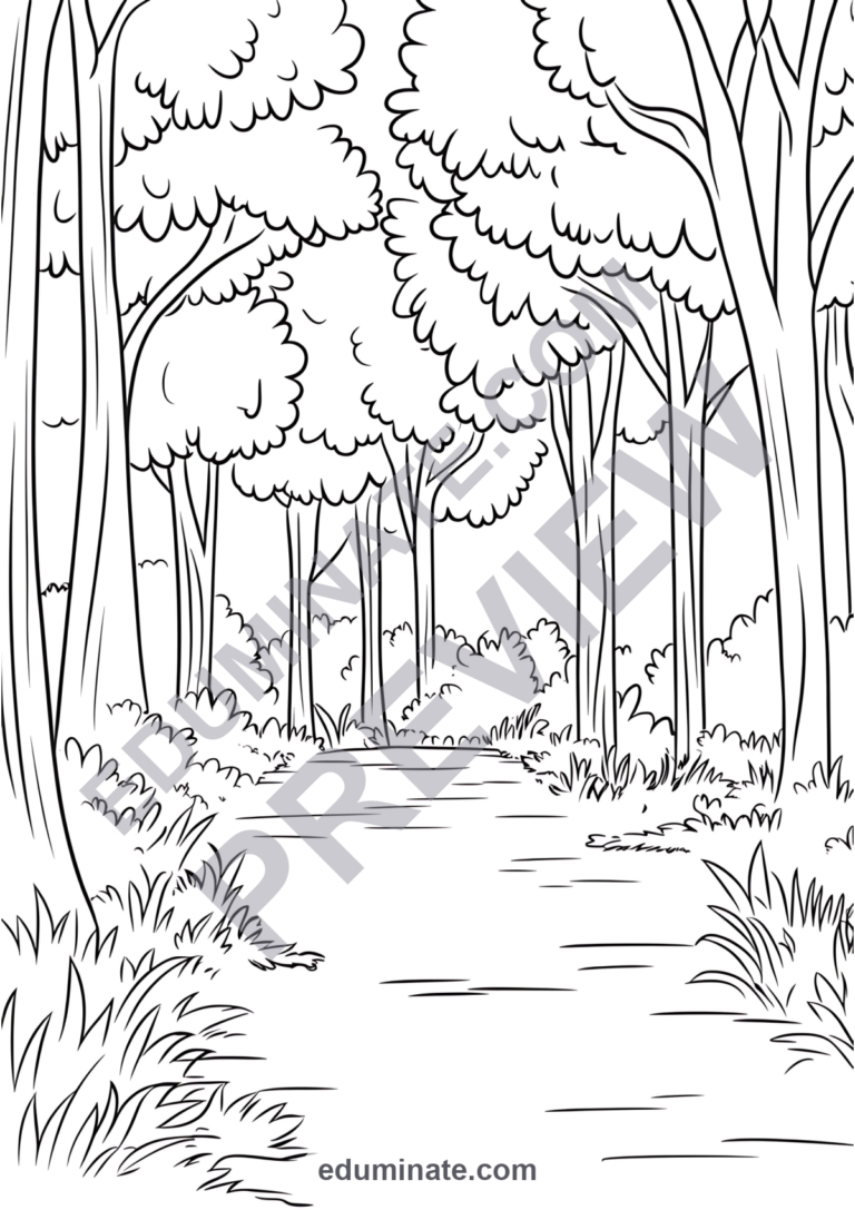 Nature Walk Coloring Pages Outdoor Explorer Art Activity Pack for Kids Fun sample page 5