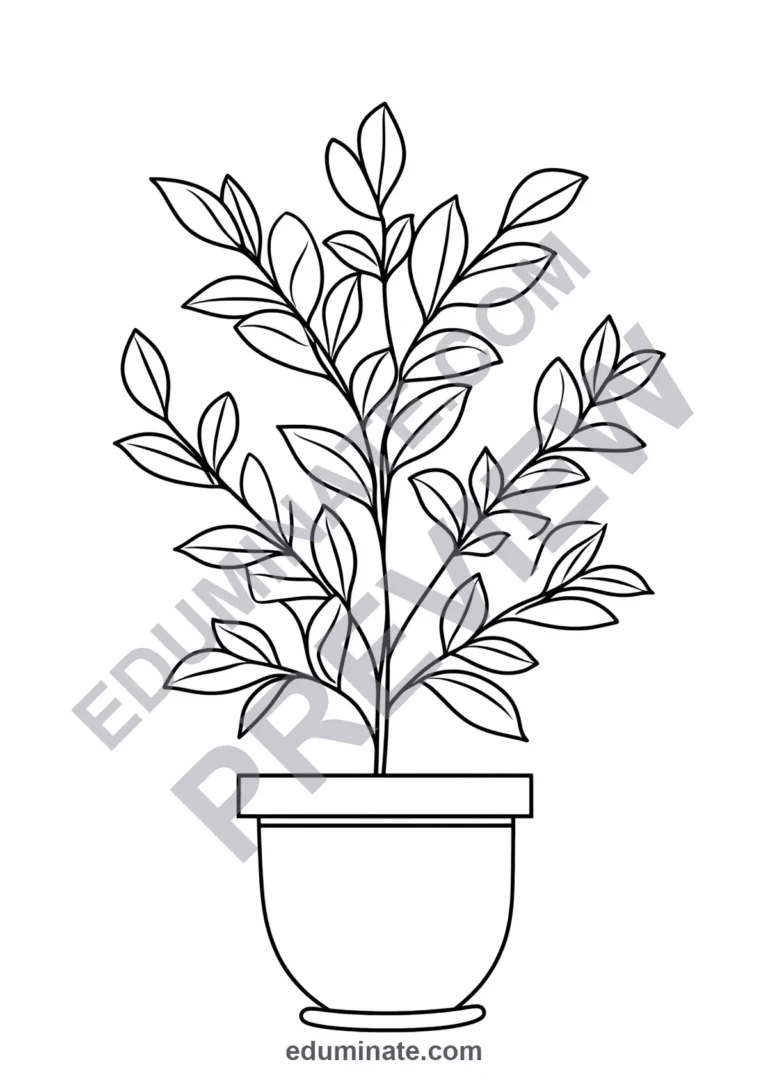 Parts of a Plant Coloring Pages Science Botany Activity Sheets Pack for Kids sample page 5