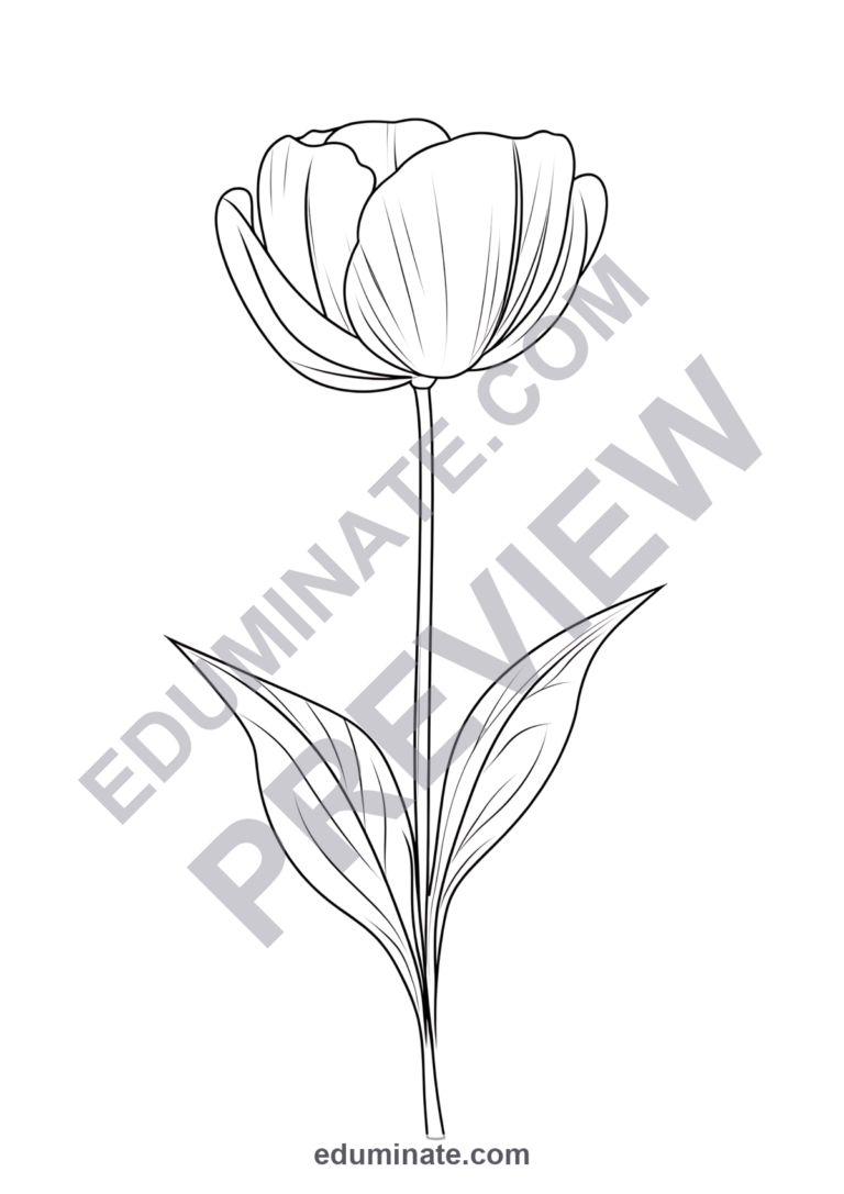 Spring Flowers Coloring Pages Botanical Garden Activity Sheets Pack for Kids sample page 6