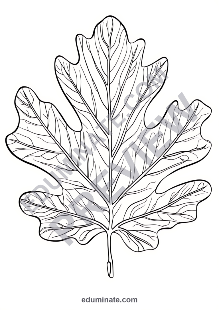 Fall Leaf Coloring Pages Autumn Leaves Nature Activity Sheets Pack for Kids sample page 6