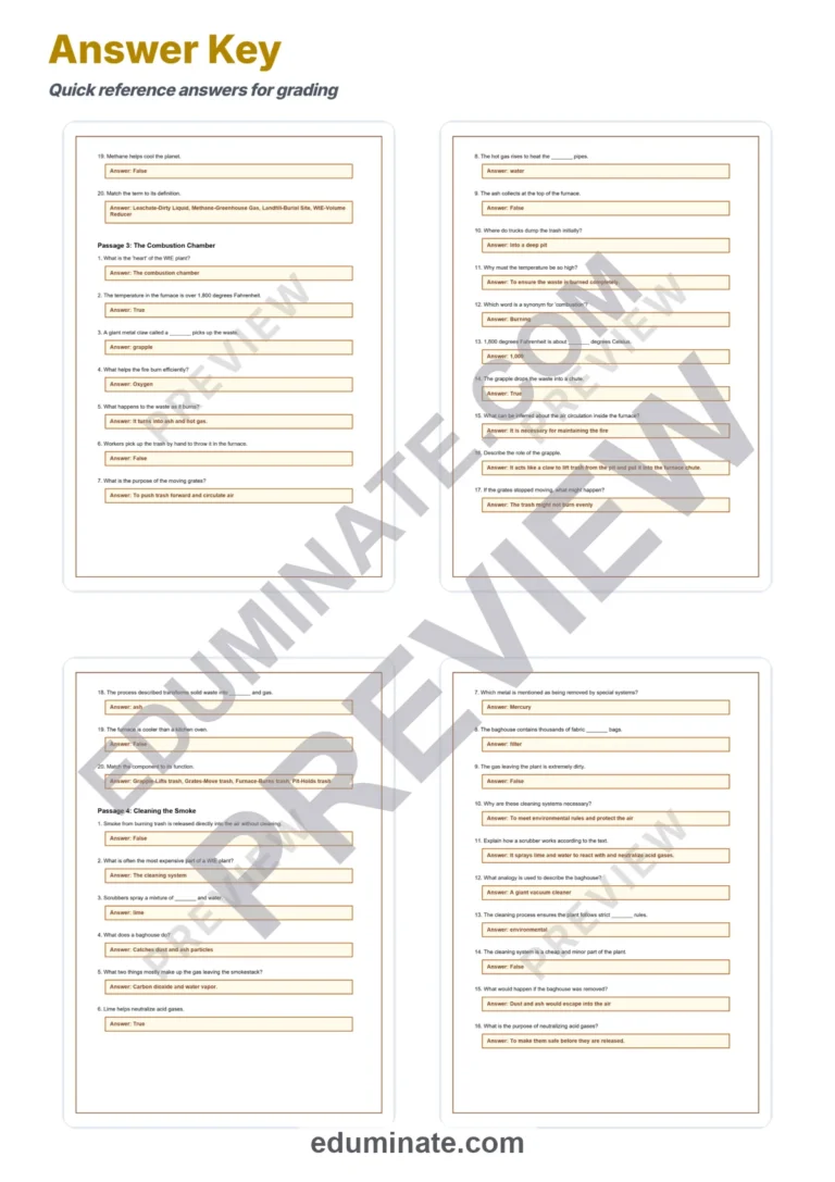Waste to Energy Reading Comprehension Passages and Renewable Energy Activities sample page 6