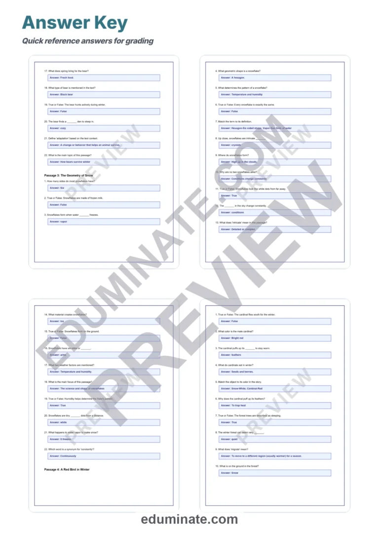 Winter Reading Comprehension Passages and Questions Seasonal Literacy Pack sample page 6