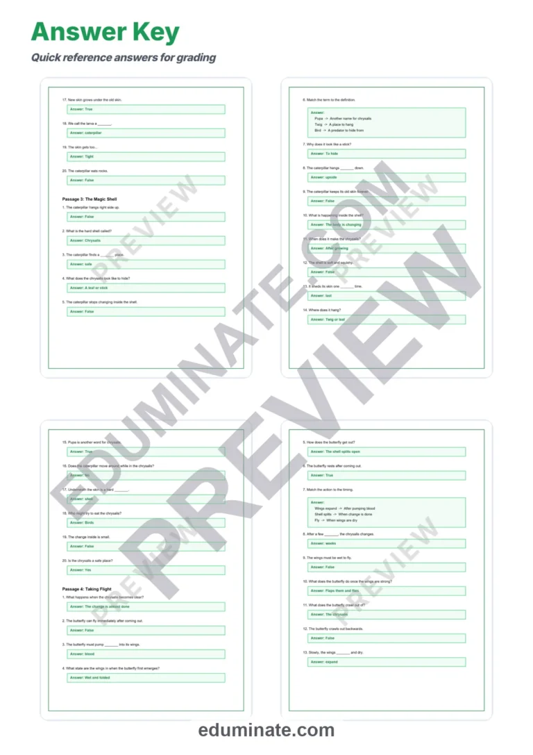 Butterfly Reading Comprehension Passages Worksheets Grades 2-6 Printables sample page 6