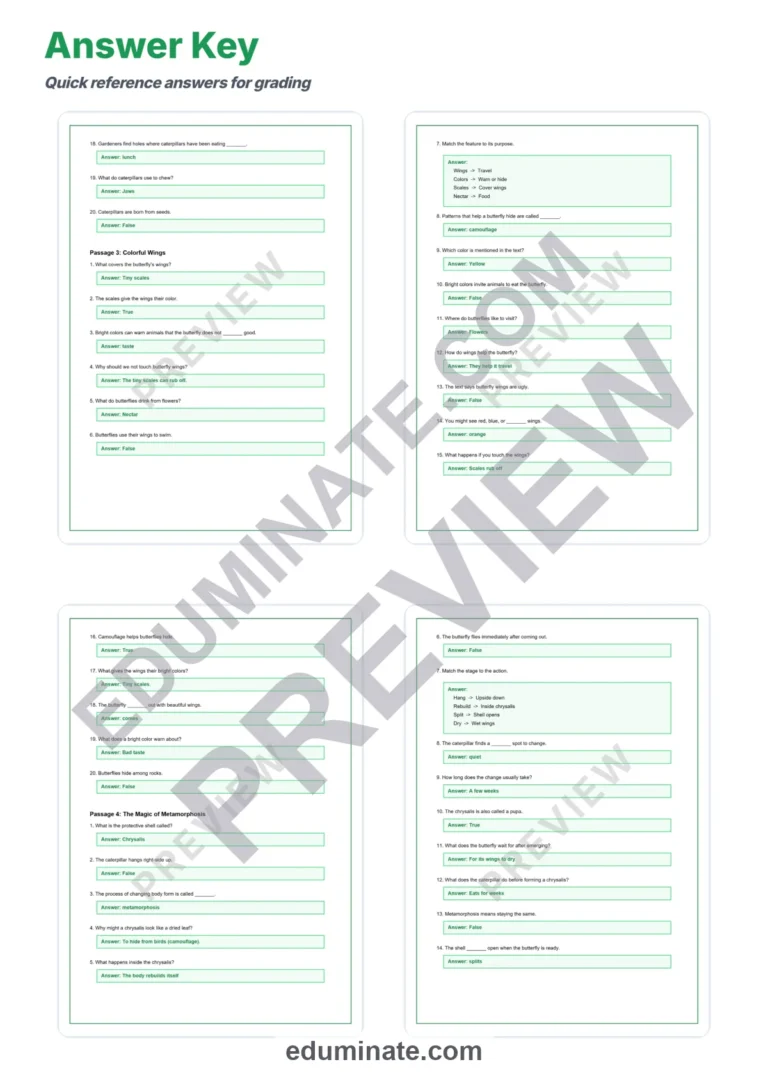 Butterfly Reading Comprehension Passages Worksheets Grades K-5 Printables sample page 6