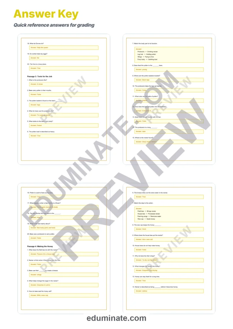 Honey Production Reading Comprehension Passages and Questions for Grades 2-6 sample page 6