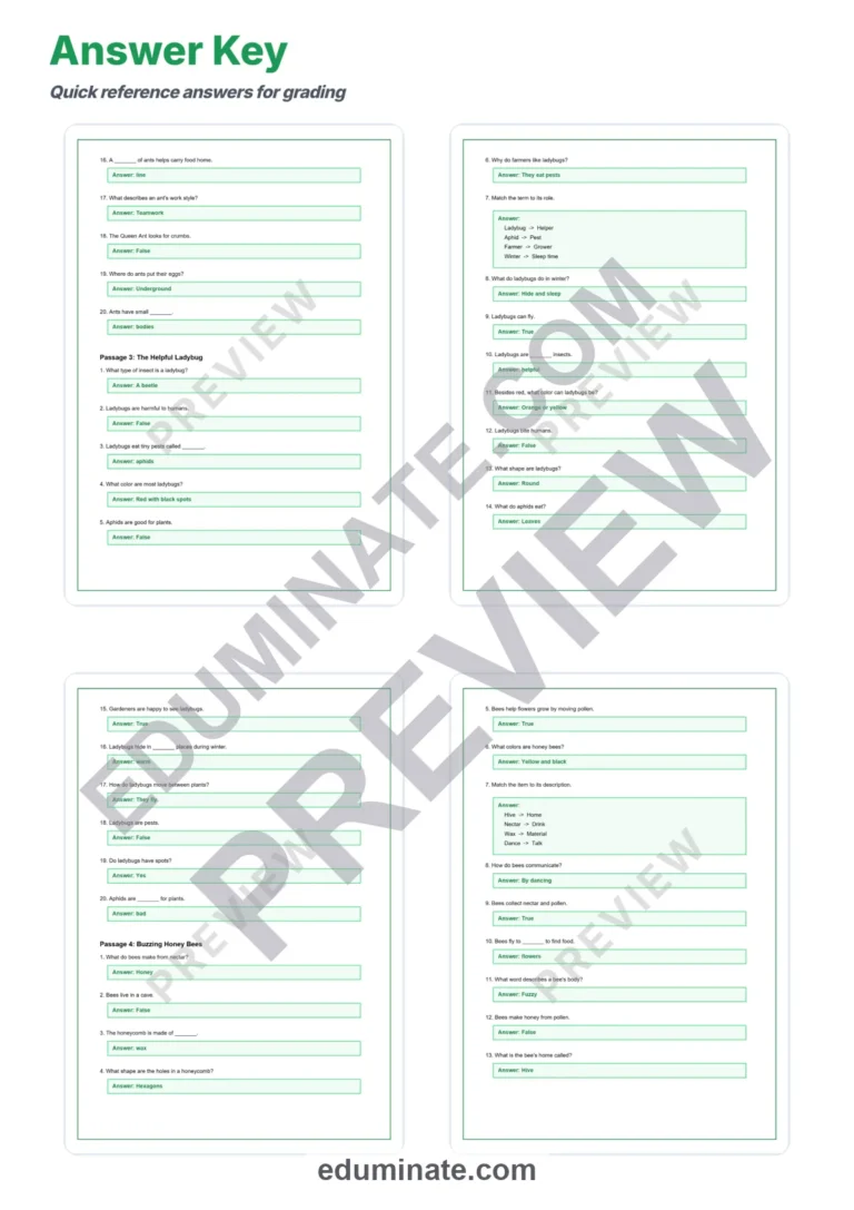 Insects and Bugs Reading Comprehension Passages and Questions for Grades 1-5 sample page 6