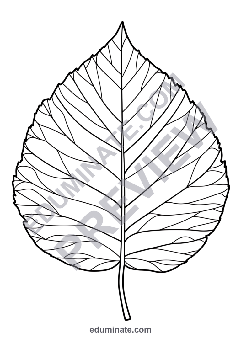 Leaf Coloring Pages Fall Autumn Foliage Sheets 80 Cute Printable Activities sample page 6