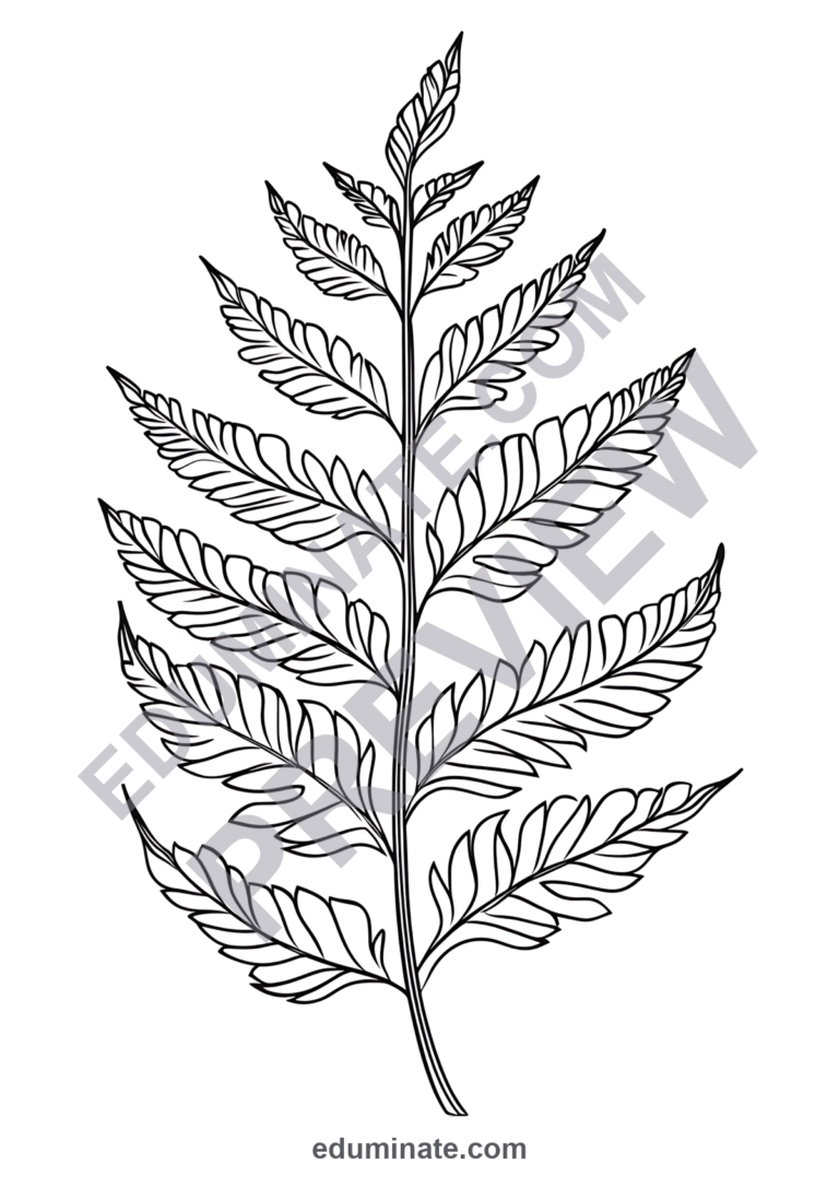 Plant Coloring Sheets 100 Botanical Tropical Foliage Art Activity Worksheets sample page 6