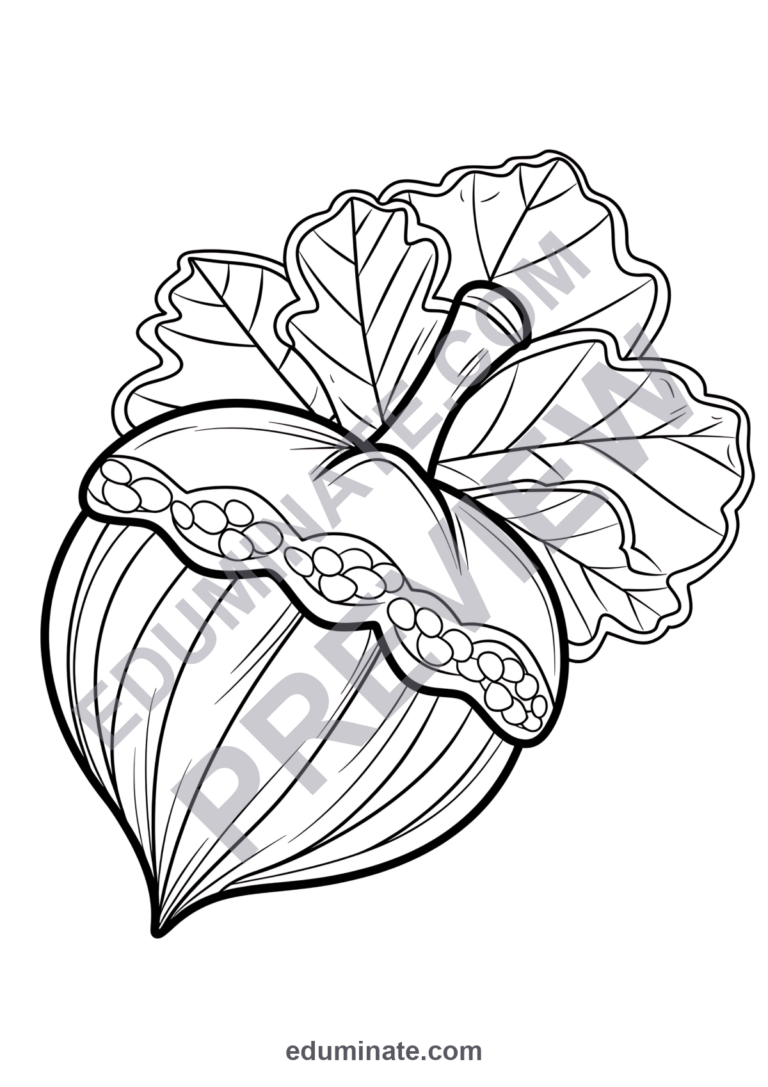 Fall Acorn Coloring Pages for Kids | Autumn Nature Set | Cute Printable Art sample page 6