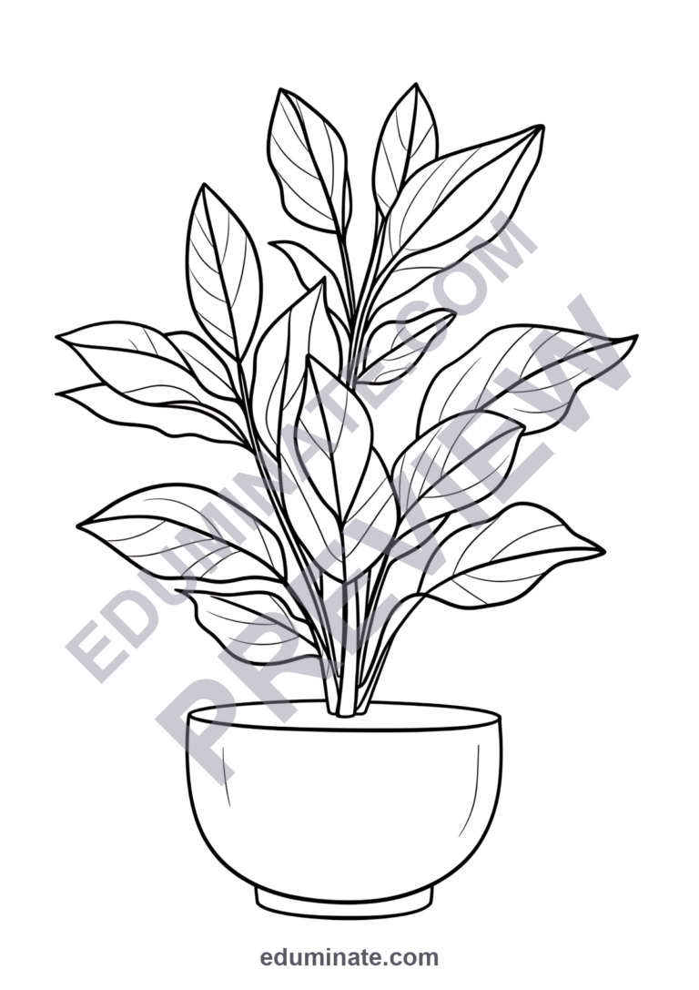Plant Coloring Pages Botany Life Cycle Science Activity Sheets Pack for Kids sample page 6