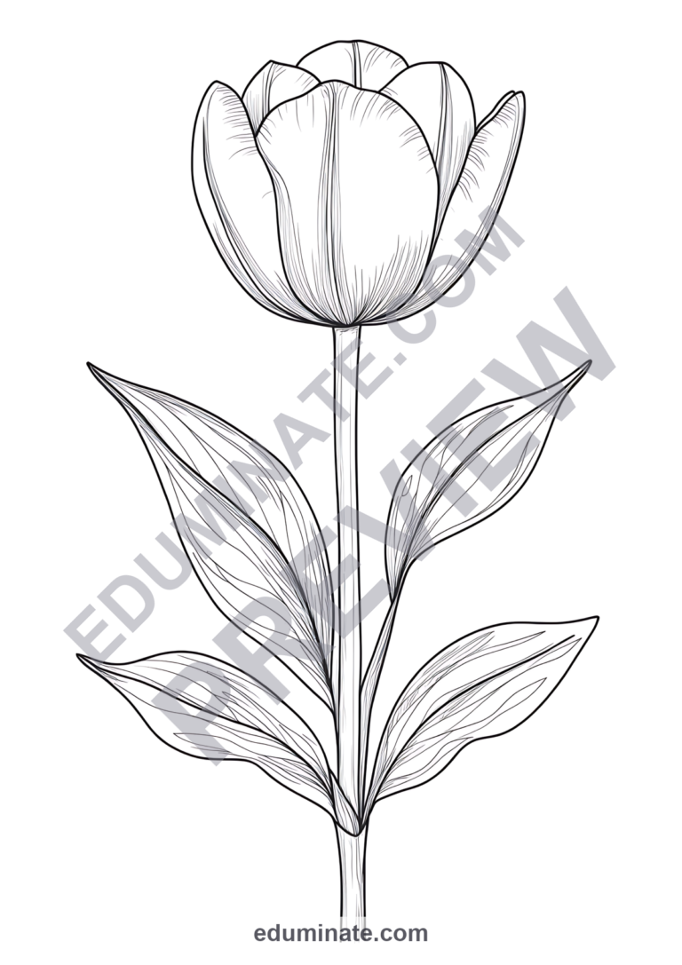 Spring Flower Coloring Pages Botanical Floral Sheets 40 Printable Activities sample page 6