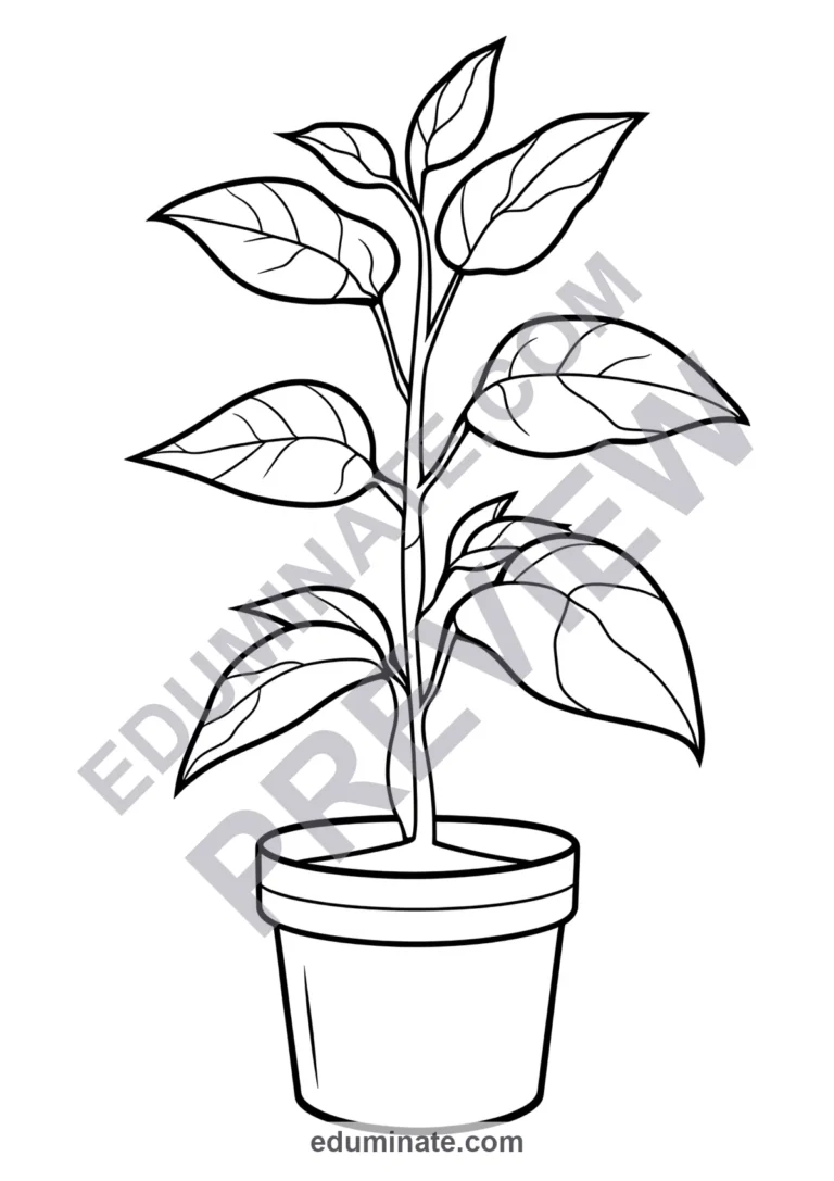 Parts of a Plant Coloring Pages Science Botany Activity Sheets Pack for Kids sample page 6