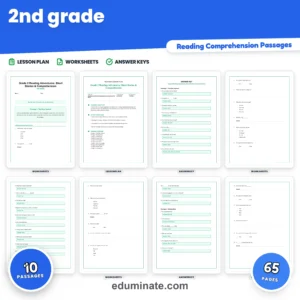 2nd Grade Worksheets Bundle | Reading, Grammar and Math Packs page 1