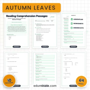 Seasonal Worksheets Bundle | Summer, Fall, Spring and Back to School Passages page 6
