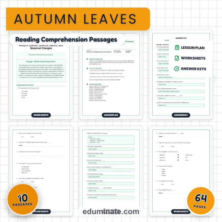Seasonal Worksheets Bundle | Summer, Fall, Spring and Back to School Passages cover 6