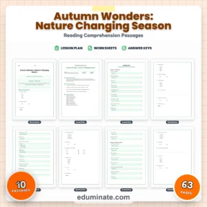 Seasonal Worksheets Bundle | Summer, Fall, Spring and Back to School Passages page 8