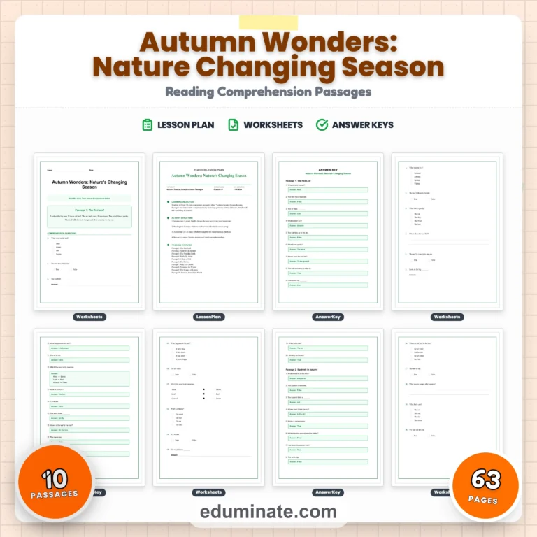 Seasonal Worksheets Bundle | Summer, Fall, Spring and Back to School Passages cover 8