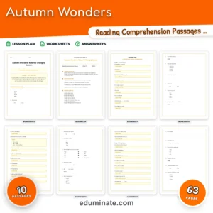 Seasonal Worksheets Bundle | Summer, Fall, Spring and Back to School Passages page 7