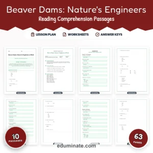 Animal Worksheets Bundle | Habitats, Bats, Camels, Rainforest and Endangered Animals page 4