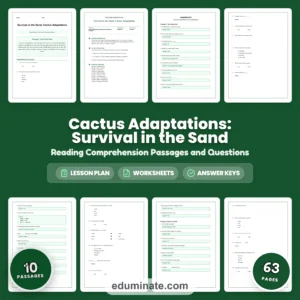 Plants Worksheets Bundle | Plant Life Cycles, Carnivorous Plants and Growing Food page 2