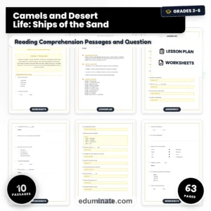Animal Worksheets Bundle | Habitats, Bats, Camels, Rainforest and Endangered Animals page 6