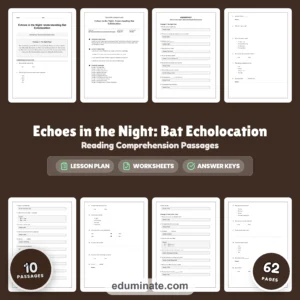Animal Worksheets Bundle | Habitats, Bats, Camels, Rainforest and Endangered Animals page 3