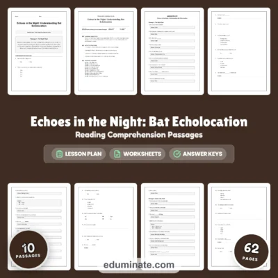 Bat Reading Comprehension Passages and Worksheets with Answer Keys, Grades 2-6 — resource cover