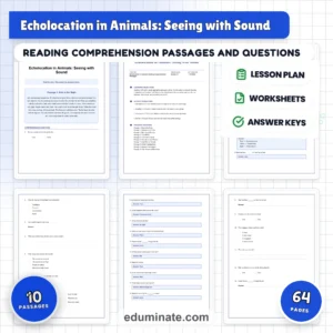 Animal Worksheets Bundle | Habitats, Bats, Camels, Rainforest and Endangered Animals page 7