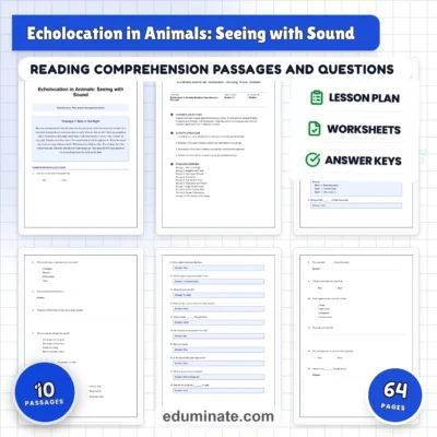 Echolocation in Animals Reading Comprehension Passages and Questions Grades 3-7 — resource cover