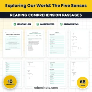 Human Body Worksheets Bundle | Nutrition, Body Systems, Sleep and First Aid page 8