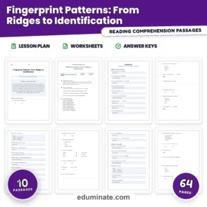 Human Body Worksheets Bundle | Nutrition, Body Systems, Sleep and First Aid page 7