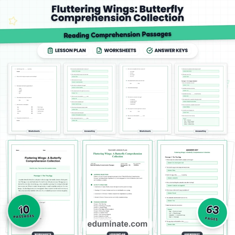 Insects Reading Comprehension Bundle | Bees, Ants, Butterflies and Spiders cover 8