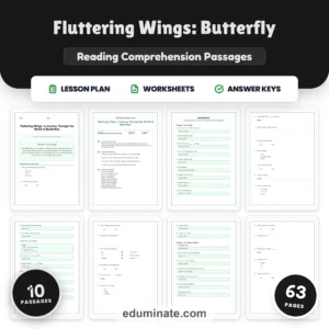 Insects Reading Comprehension Bundle | Bees, Ants, Butterflies and Spiders page 7