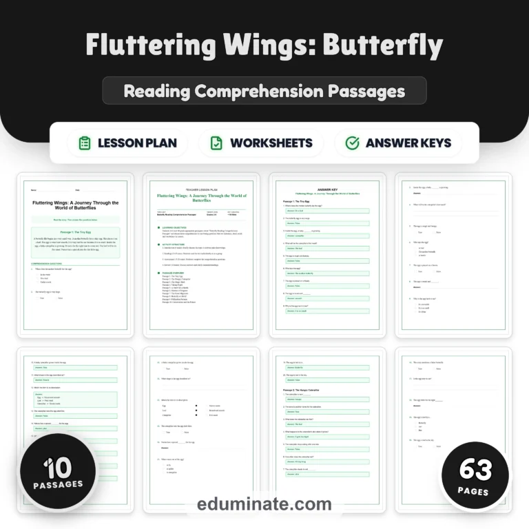Insects Reading Comprehension Bundle | Bees, Ants, Butterflies and Spiders cover 7